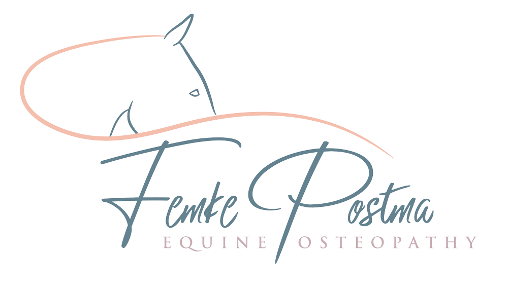 Femke Postma Equine Osteopathie