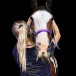 Paardenosteopathie in de regio