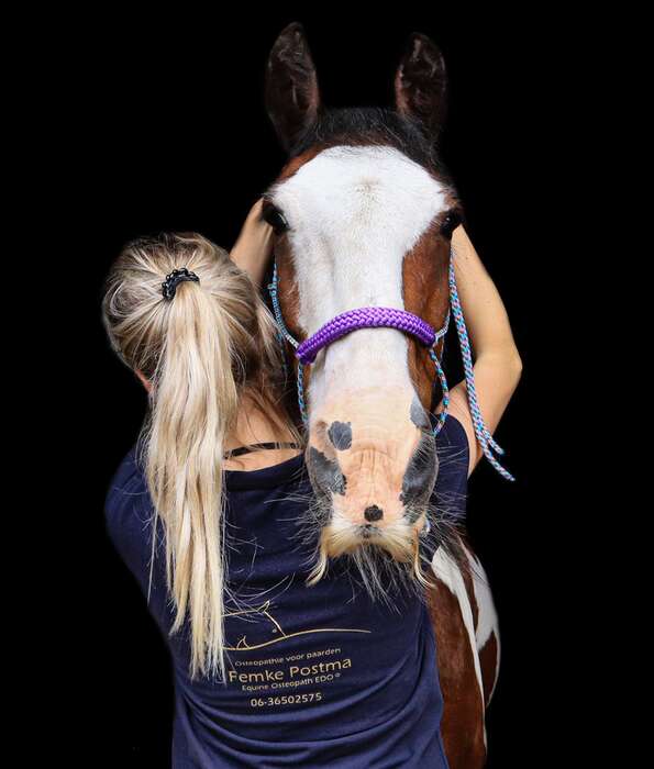 Paardenosteopathie in de regio